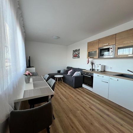 Apartman Roda2 Male Lipno Černá v Pošumaví 外观 照片